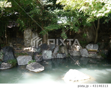 龍津寺（東京の名湧水57選） 43146313