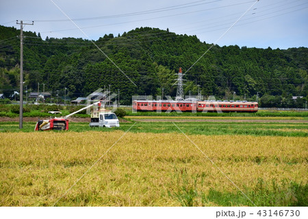 収穫の秋、田園の中を行くDC 43146730