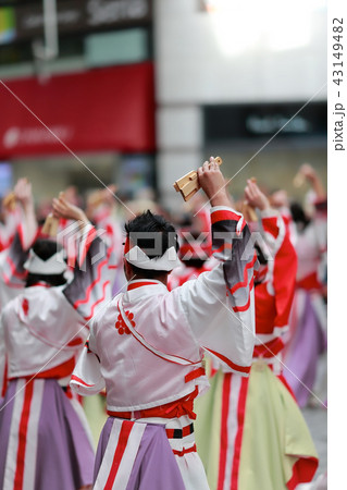 よさこい 43149482