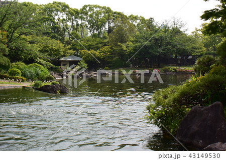 江戸川区　平成庭園 43149530