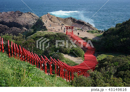 元乃隅稲成神社-山口県長門市 43149616