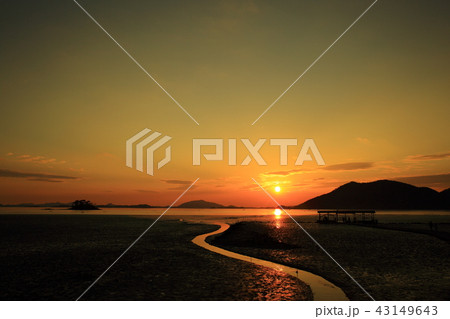 風景 海 干潟 43149643