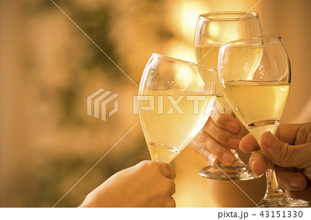 ホームパーティー 43151330