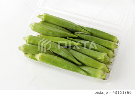 オクラ オクラ 43151366