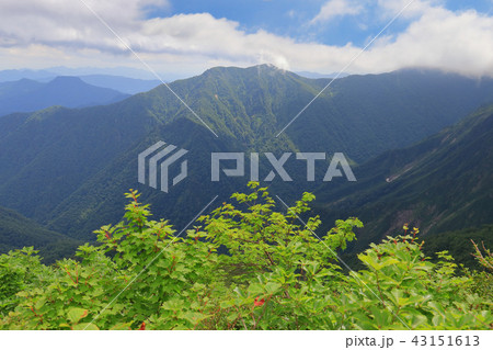 谷川岳天神尾根から南東側の阿能川岳、三岩山方面を見る 43151613