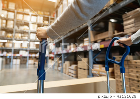 Asian female worker pulling pallet truck or pushin Asian female worker pulling pallet truck or pushin 43151629
