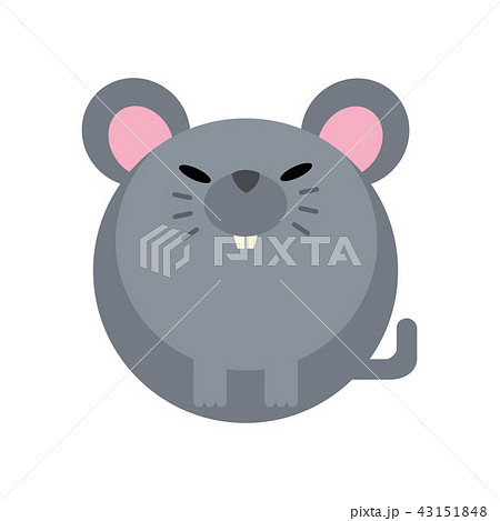 Rat flat illustration Rat flat illustration 43151848