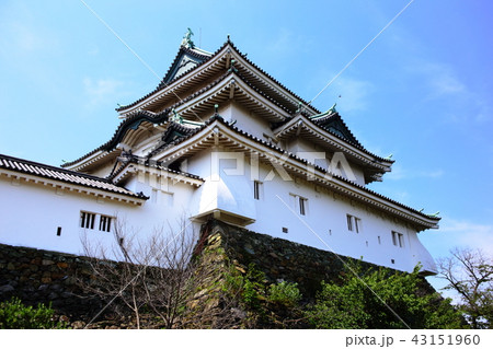 和歌山城天守閣 43151960