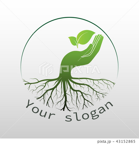 green leaf logo green leaf logo 43152865