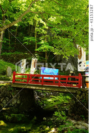 三陸ジオパーク新緑の岩泉龍泉洞 三陸ジオパーク新緑の岩泉龍泉洞 43153287