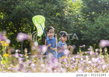 子供 友達 友人 43153365