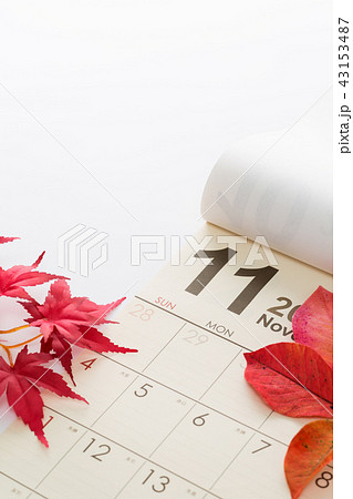 カレンダー 43153487