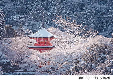 Red Pagoda at Kiyomizu-dera temple. Red Pagoda at Kiyomizu-dera temple. 43154026