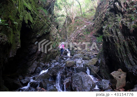 棒ノ嶺の沢を歩く女性登山者 43154776