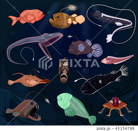 Angler fish vector angry seafish predator character with teeth and light or cartoon sea-angler 43154786