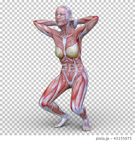 A man of a human model A man of a human model 43155075