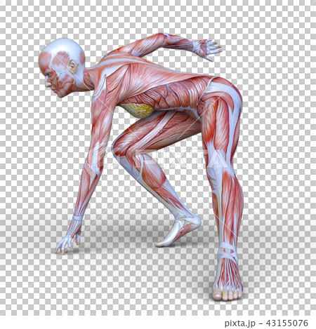 A man of a human model A man of a human model 43155076