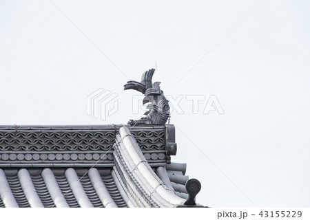 赤い葉 モミジの葉 赤葉 43155229