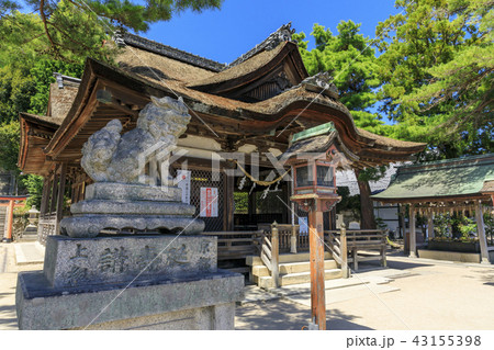 白髭神社 白髭神社 43155398