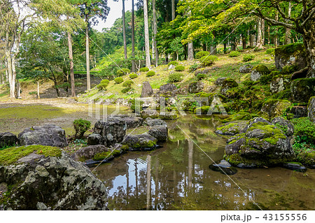 一乗谷朝倉氏庭園 湯殿跡庭園 43155556