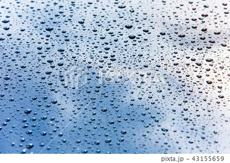 Car hood covered in small water drops macro Car hood covered in small water drops macro 43155659