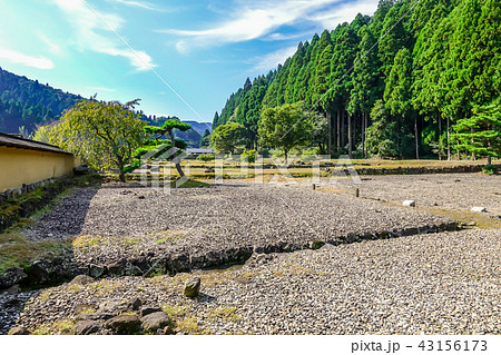 一乗谷城 平面復元地区地区 一乗谷城 平面復元地区地区 43156173