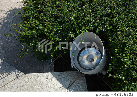 LED Spotlight in Garden LED Spotlight in Garden 43156202