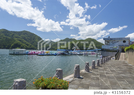 相模湖　水辺の広場 43156372