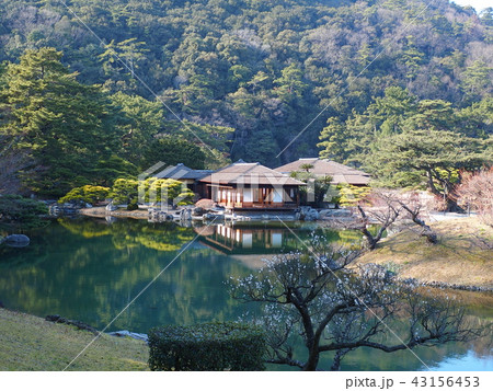 栗林公園 池 建物 梅 43156453
