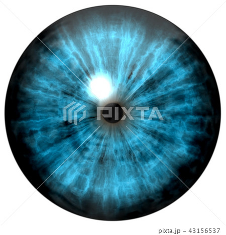 Beautiful blue eyes with bright light reflection.  43156537