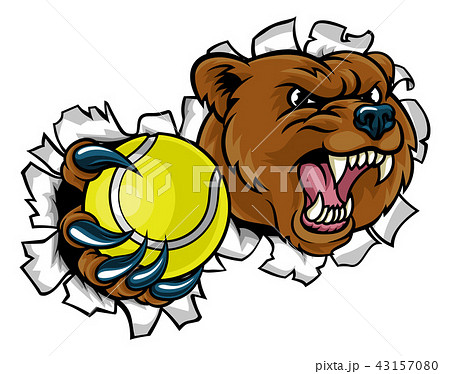 Bear Holding Tennis Ball Breaking Background Bear Holding Tennis Ball Breaking Background 43157080