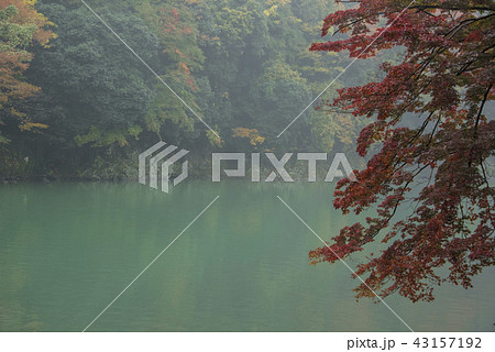 嵐山町 京都嵐山 嵐山渓谷 43157192
