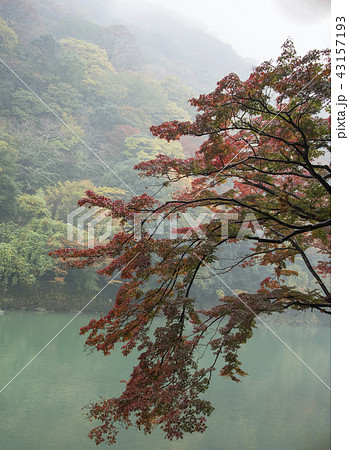 嵐山町 京都嵐山 嵐山渓谷 43157193