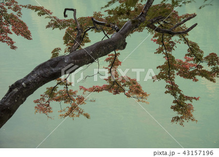 嵐山町 京都嵐山 嵐山渓谷 43157196