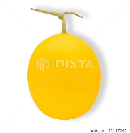 cantaloupe melon isolated on white background cantaloupe melon isolated on white background 43157243