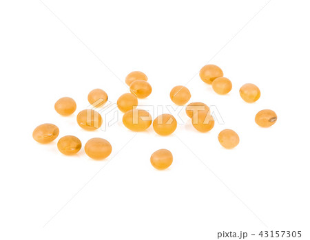 Soy beans isolated on white background. Soy beans isolated on white background. 43157305