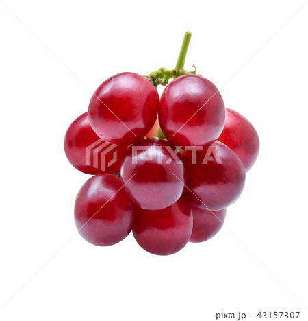 red grapes isolated on white background. red grapes isolated on white background. 43157307