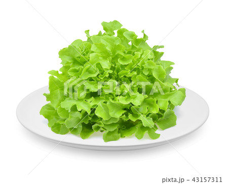 Lettuce in a plate isolated on white background 43157311