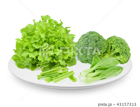Green oak lettuce, bok choy, celery, broccoli Green oak lettuce, bok choy, celery, broccoli 43157313