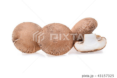 Shiitake mushroom on the White background 43157325