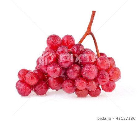 red grapes with drop of water isolated on white red grapes with drop of water isolated on white 43157336