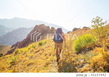 Summer hike 43157442