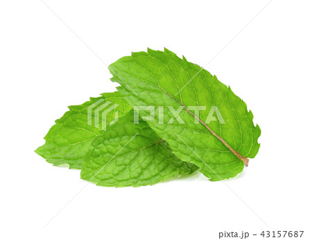three fresh mint leaves isolated on white 43157687