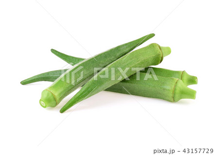 fresh okra isolated on white background fresh okra isolated on white background 43157729