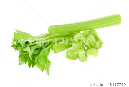 celery isolated on white background 43157749