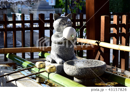 猫型の手水舎 43157826