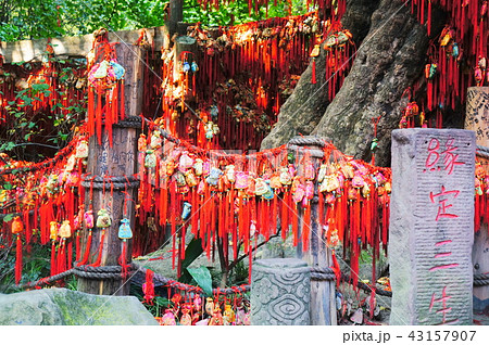 錦里 錦里 43157907