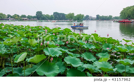 Shichahai in Beijing Shichahai in Beijing 43157962