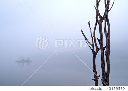 ヅムルモリ 夜明け 霧 43159570