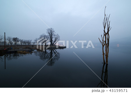 ヅムルモリ 夜明け 霧 43159571